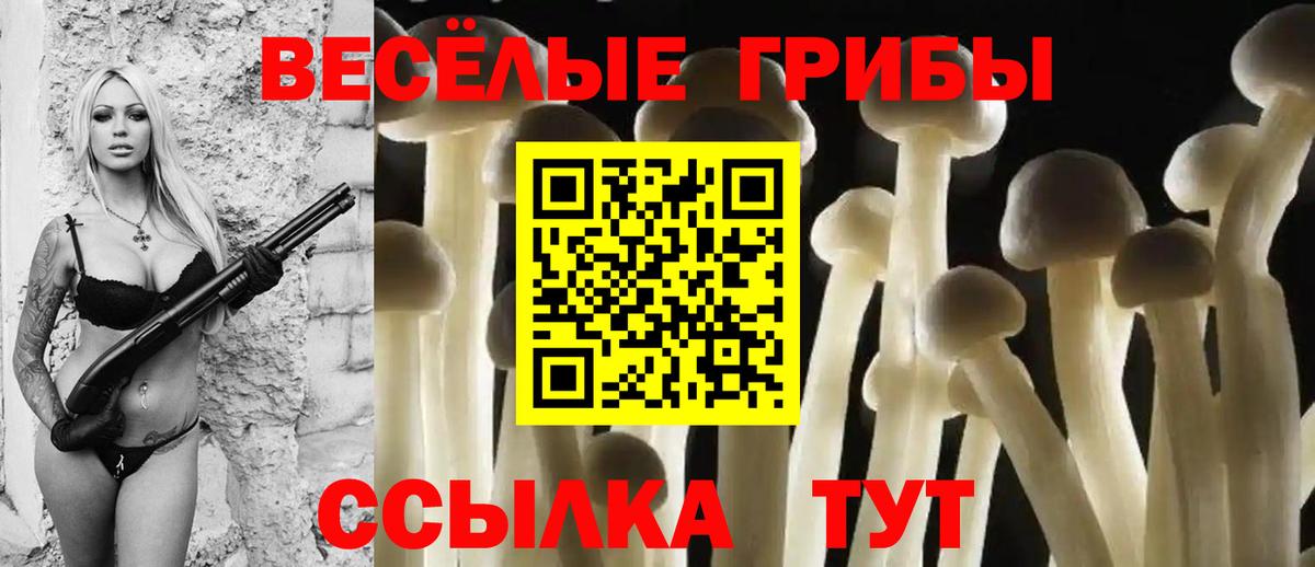 Галлюциногенные грибы прущие грибы Нижневартовск