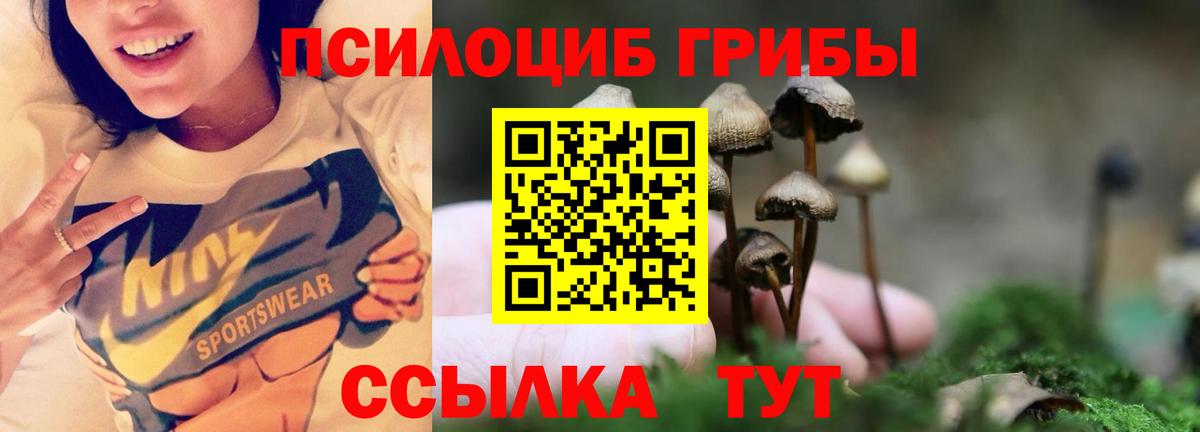 Нижневартовск  наркошоп  Вход с VPN  Псилоцибиновые грибы Cubensis 